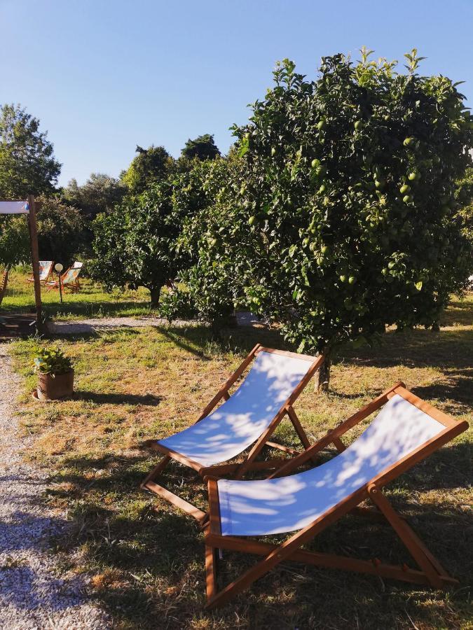 Quinta Do Marinheiro - Meco Villa Aldeia do Meco Luaran gambar